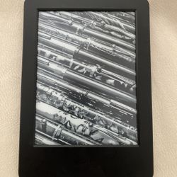 Kindle eReader