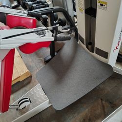 Freemotion Plate Loaded Squat Machine Exercise Fitness Gym Equipment 