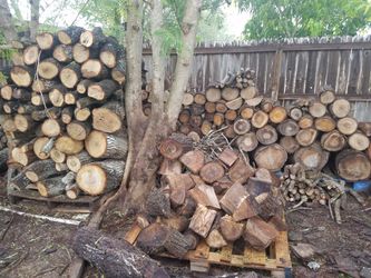Mesquite,oak and Pecan