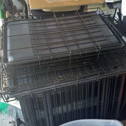 Dog Creek Small and Medium