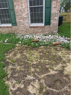 Free Landscaping Rocks