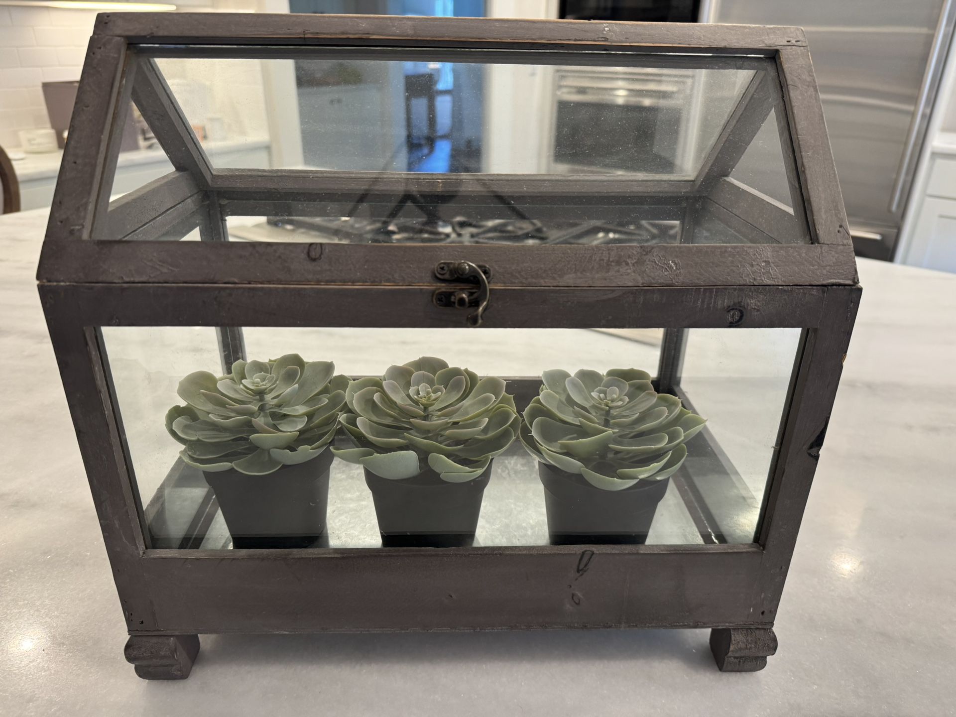 Atrium Decorative Decor