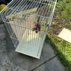 Bird Cage 24” Tall 