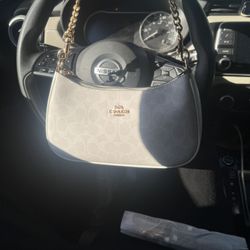 Authentic White Teri Shoulder Bag In Signature Canvas