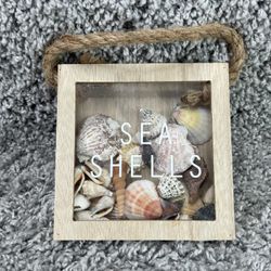 Ocean Treasures Sea Shells Frame