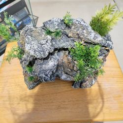 Rock Formation Fish Ornament 