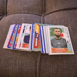 Panini World Cup Doubles & Needed Stickers 