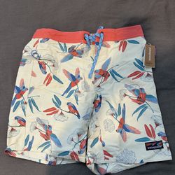 Patagonia men’s Wavfarer Board shorts Size 32 19