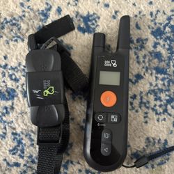 E-collar