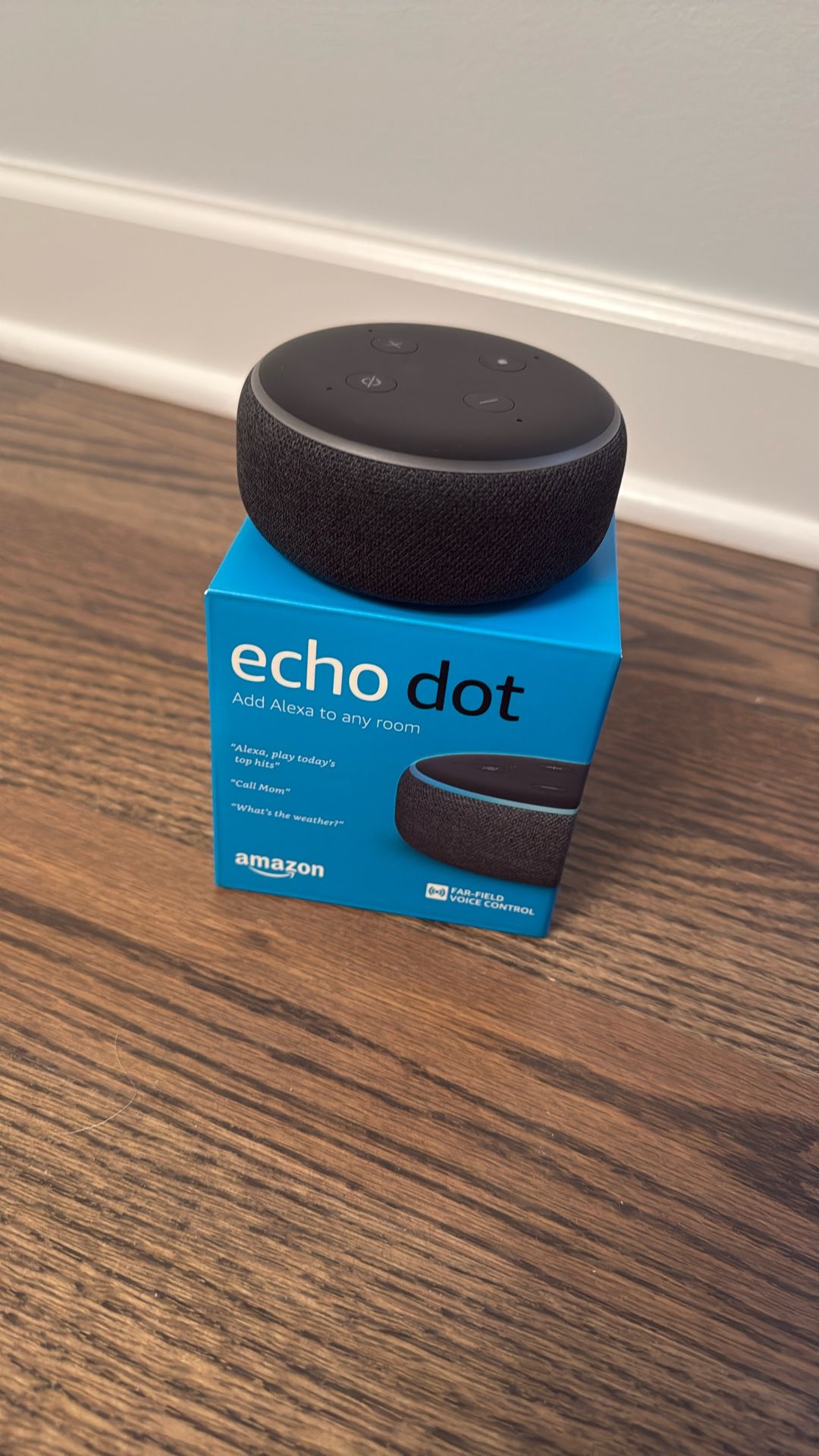 Echo dot Alexa