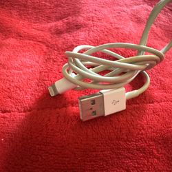 Apple 1M USB to Lightning Charger  Cable