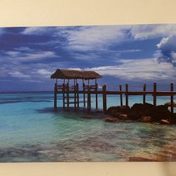 Hawaiian Hand Painted Painting 