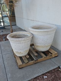 Large Outdoor Concrete Planters Set of 2