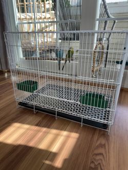 Jaula para periquitos/aves con accesorios, excelente estado”