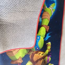 Ninja Turtles "We are Ninjas" 40" x 56" Accent Rug

