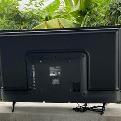 Insignia Flat Screen TV