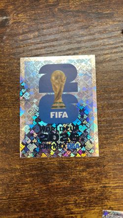 USA World Cup panini sticker