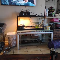 40 Gallon Reptile Tank