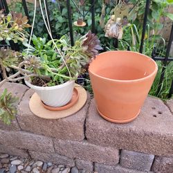 Clay Pot And Hungin Basket 