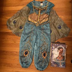 Princess  Jasmine Costume 