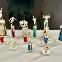 All these trophies for $25