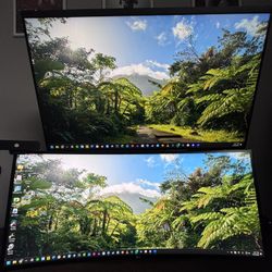 32" Dell USB-C Monitor QHD