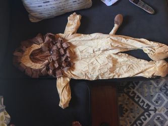 Lion Costume 3T
