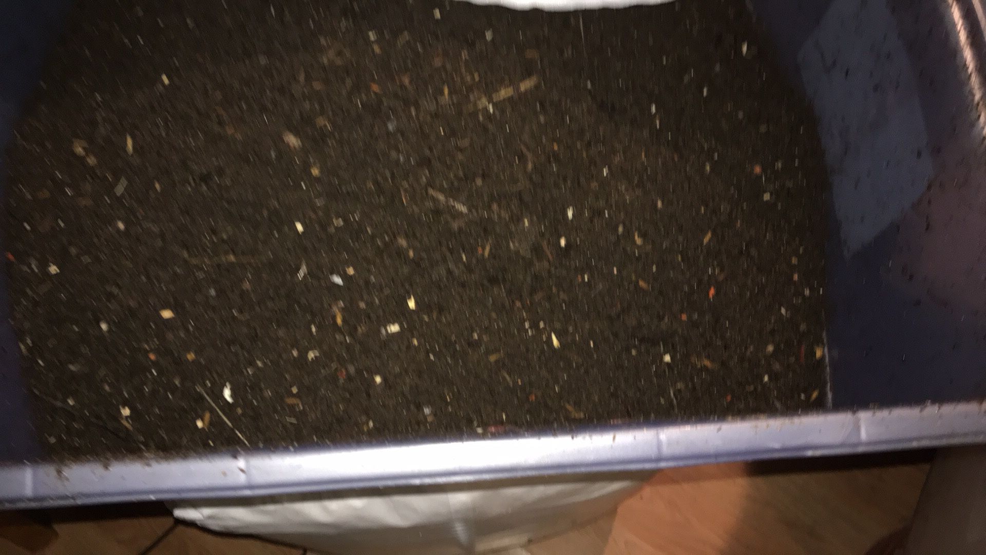 Compost Worm for Sale in Houston, TX - OfferUp