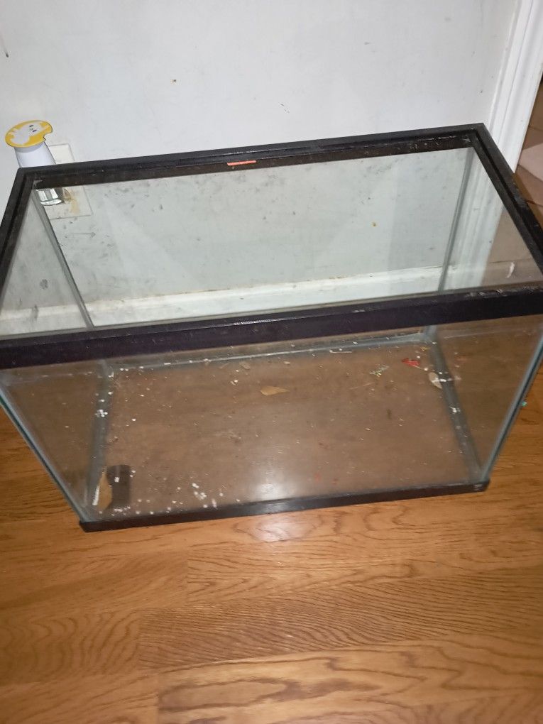 Fish Tank