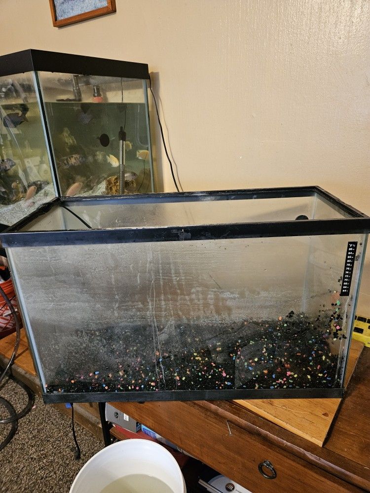 Fish Tank