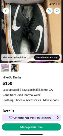 Nike Sb