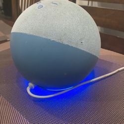 Amazon Echo 