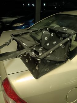 Little dog car seat