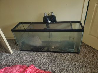 Turtle / Fish Tank 60 Gallon