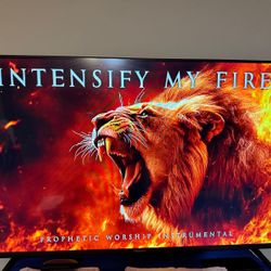 Roku 43” Smart TV – Excellent Condition
