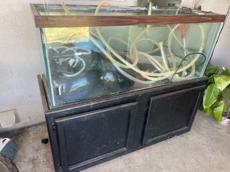 75 Gallon Fish Tank + Stand