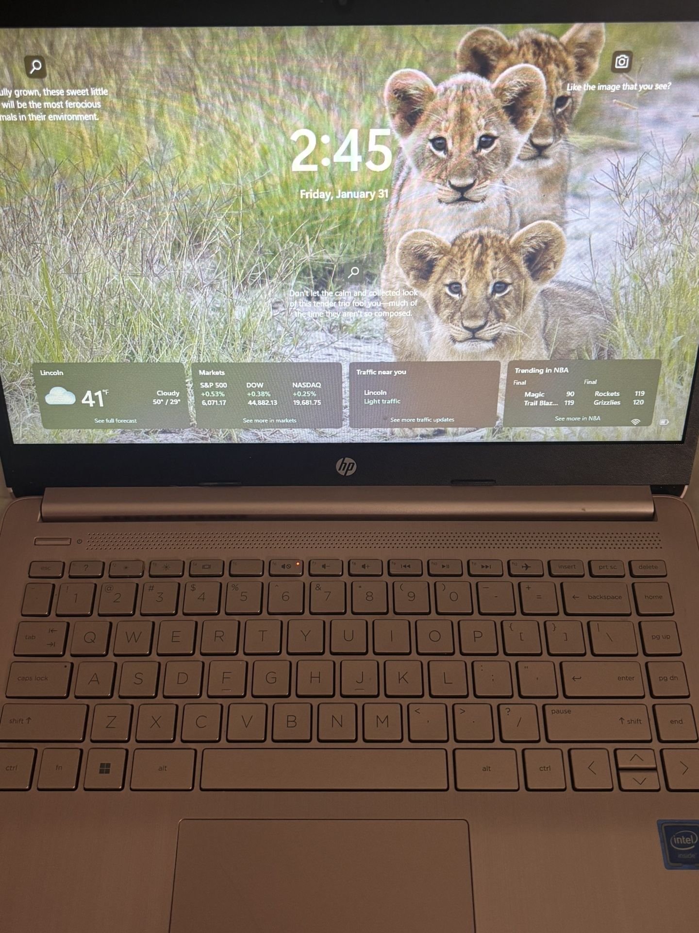 HP Laptop