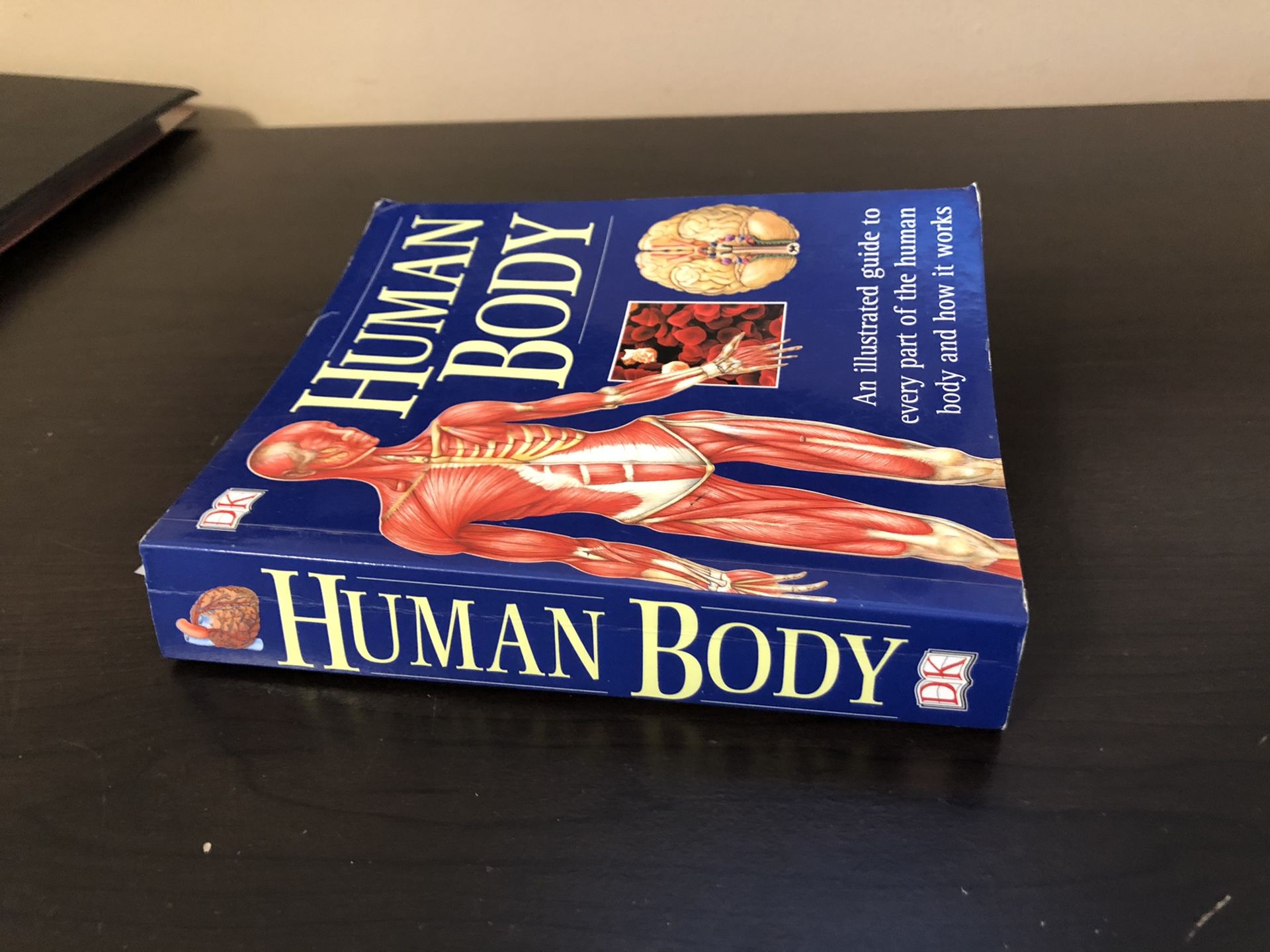 Human Body - an illustrated guide to every part of the human body and how it works