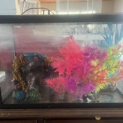 Small Fish Tank