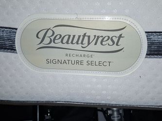 KING size Mattress.  Free.