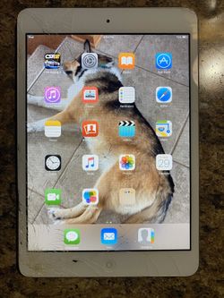 iPad mini 16 GB with data and WiFi