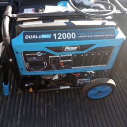 Dual Fuel Generator 12000w