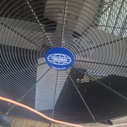 Fan