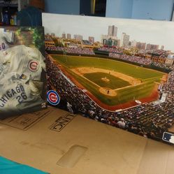 Chicago Cubs 