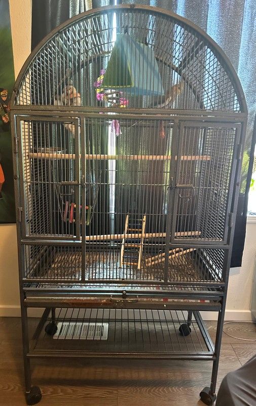 Bird Cage