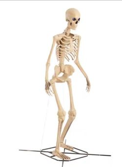 8Ft. SKELLY new in box