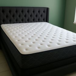 New Queen Mattress And Box Spring 2pc Bed Frame Is Not Included 