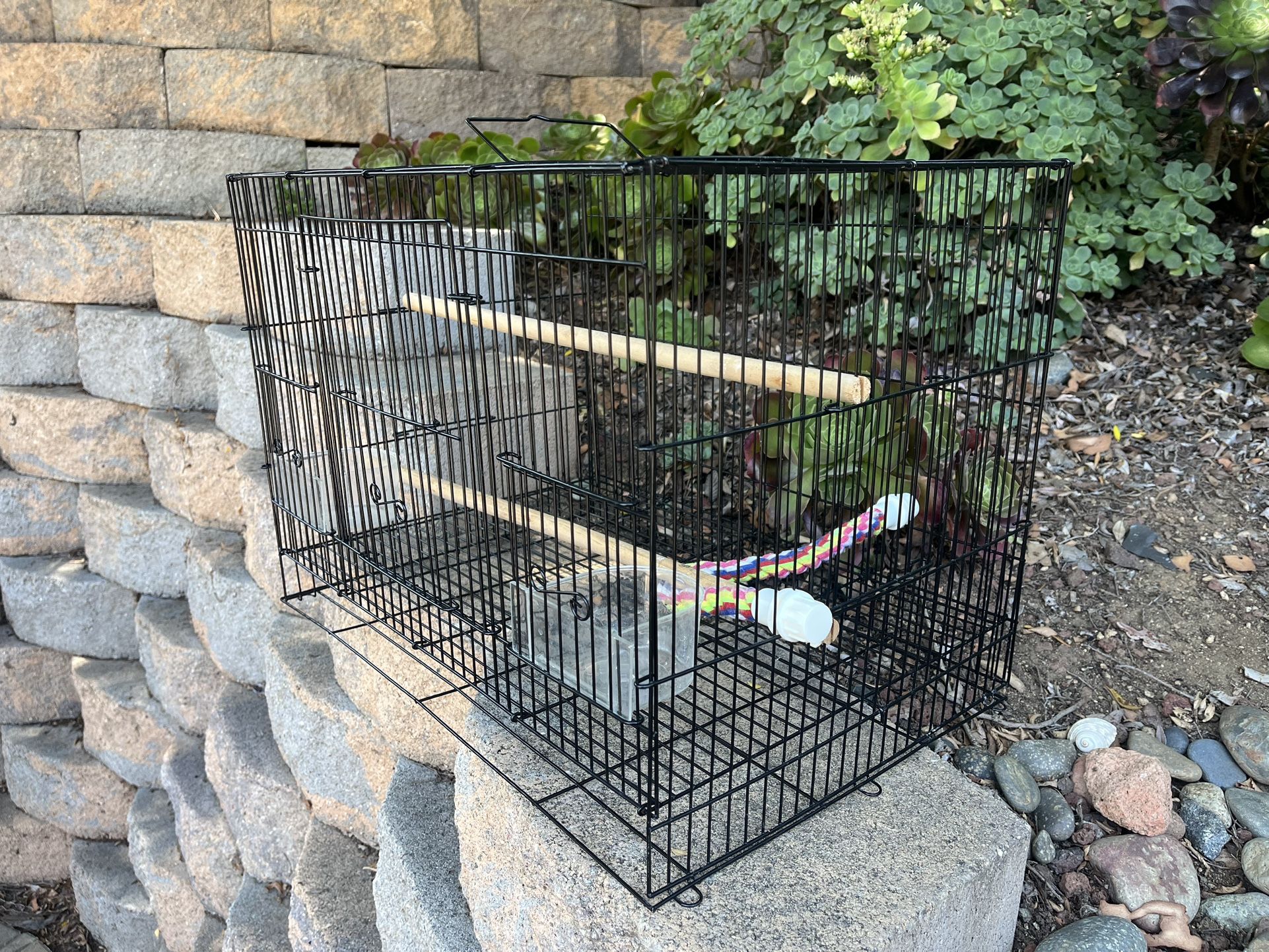 Bird Cage