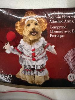 Pennywise Dog Costume