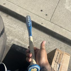 Baseball Bats 